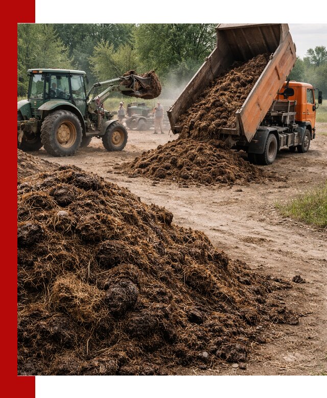 Доставка навоза самосвалами в Красноярске для сельхозпотребностей